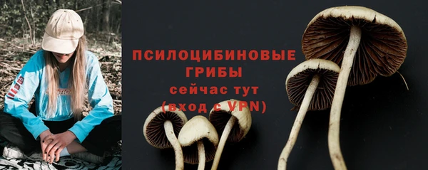 PSILOCYBIN Баксан