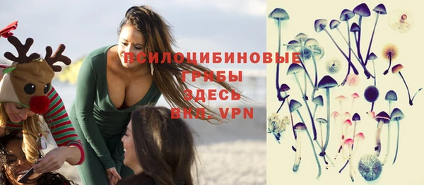 PSILOCYBIN Баксан